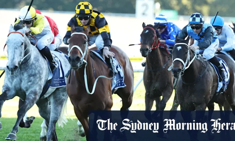 Race-by-race preview and tips for Randwick on Saturday