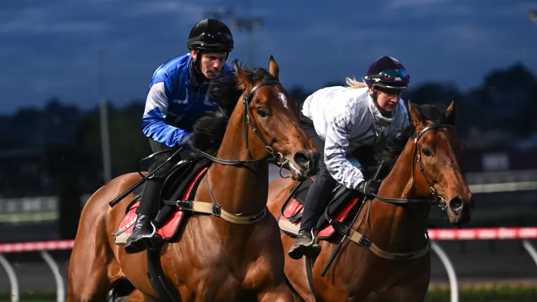 Race that stops a marriage—Melhams set for Melbourne Cup first