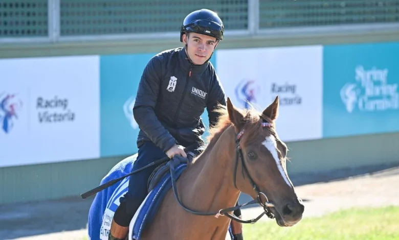 Racing Victoria vets to re-examine four horses as final Melbourne Cup field takes shape