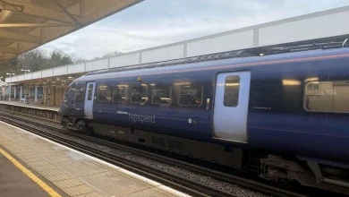 Rail delays after reports of trespasser on tracks