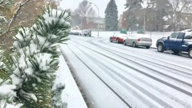 Rain and snow expected overnight in Edmonton ahead of Thursday commute