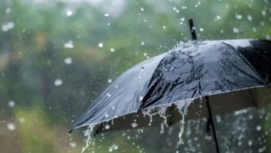 Rain warning issued for four counties on Sunday with possible flooding and difficult travel conditions, Met Éireann warns