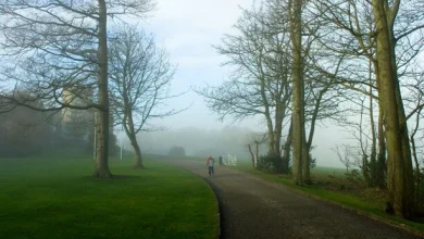 Rain warning issued for four counties this evening