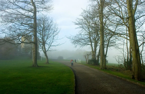 Rain warning issued for four counties this evening