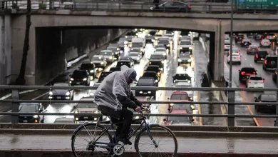 Rainfall totals: LA logs 5th wettest November on record