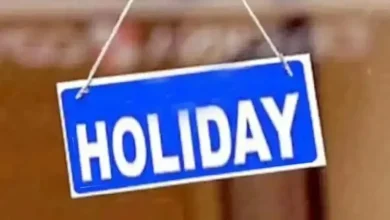 Rajasthan Holiday: Schools, Colleges, and Government Offices to Remain Closed on November 5