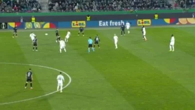 Rapid Viena - Universitatea Craiova, LIVE VIDEO, 22:00, Digi Sport 1. Fac oltenii surpriza în Austria?