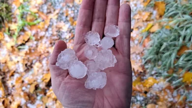 Rare November thunderstorms bring hail to southern Ontario
