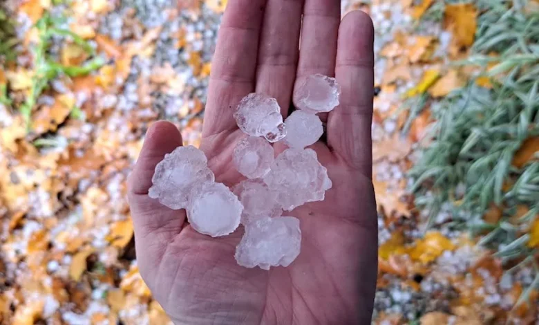 Rare November thunderstorms bring hail to southern Ontario