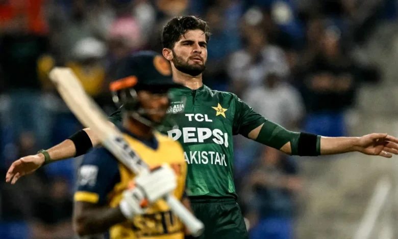 Rawalpindi takes centre stage as Pakistan, SL and Zimbabwe scramble for World Cup spark