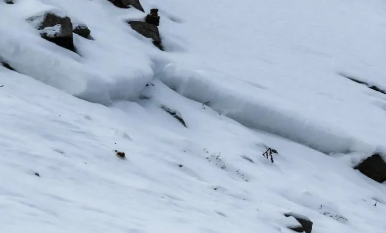 Recent avalanche highlights Utah's risk despite low snow levels