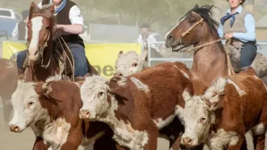 Récord de participación en El Calafate: 27 equipos competirán en una nueva fecha del Aparte Campero