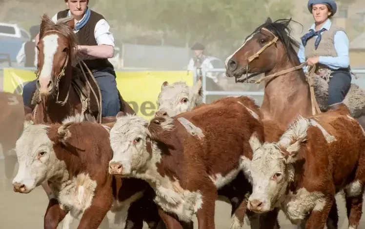 Récord de participación en El Calafate: 27 equipos competirán en una nueva fecha del Aparte Campero
