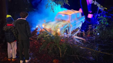 Record demand: Vancouver's Harry Potter forest ticket sales top all previous cities | Urbanized