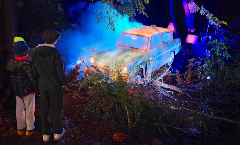 Record demand: Vancouver's Harry Potter forest ticket sales top all previous cities | Urbanized