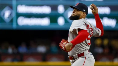 Red Sox Trade Luis Guerrero To Rays