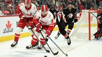 Red Wings Aim To Stay Hot Against Slumping Sabres