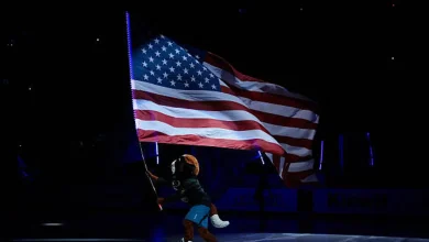 Red Wings vs. Ducks Prediction, Odds, Picks - Nov. 13