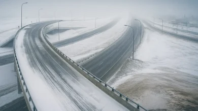 Regina News Nov. 24, 2025: Dewdney Avenue Reopening Nears, House Fire Probe, NDP Push on Overdose Treatment Beds