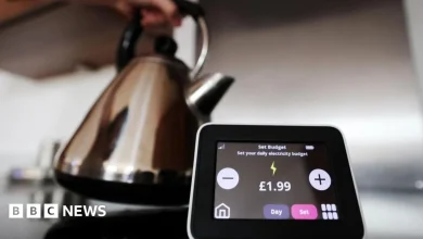 Regulator steps in as Basingstoke-based Tomato Energy collapses