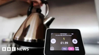 Regulator steps in as Basingstoke-based Tomato Energy collapses