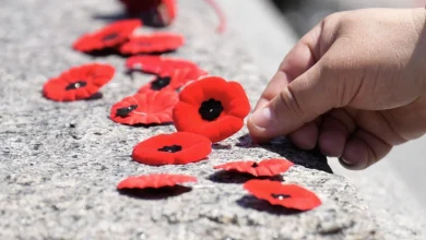 Remembrance Day ceremonies, closures around Waterloo Region