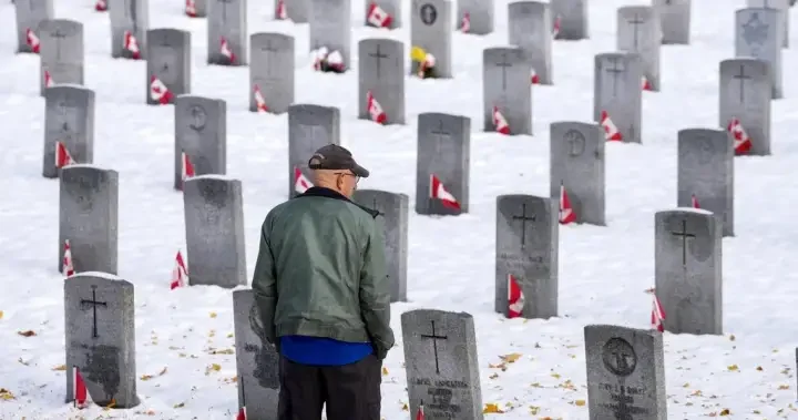Remembrance Day marked with solemn ceremonies in Toronto