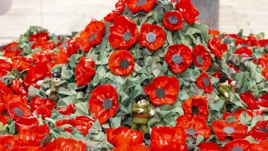 Remembrance Sunday events in Bracknell