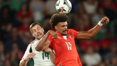 Renato Veiga: "É malta muito experiente, estamos habituados a muita coisa..."