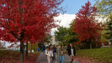 Rents easing ‘rapidly’ near universities due to foreign student cap: report - National