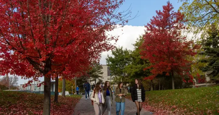 Rents easing ‘rapidly’ near universities due to foreign student cap: report - National