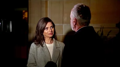 Review: CNN anchor Bianna Golodryga takes on antisemitism in 'Don't Feed the Lion'