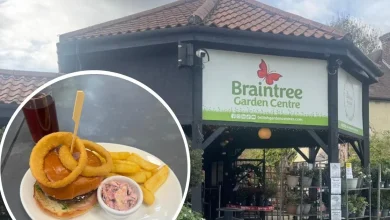 Review of Braintree Garden Centre Cafe: Festive Atmosphere and Tasty Burgers