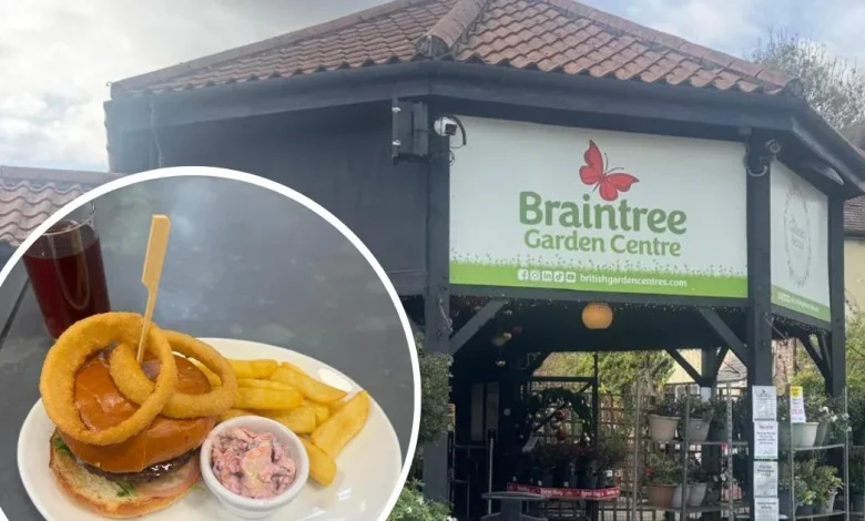 Review of Braintree Garden Centre Cafe: Festive Atmosphere and Tasty Burgers
