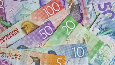 Review of RBNZ November 2025 Monetary Policy Statement