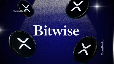 Ripple News: Bitwise CEO Says XRP ETFs Could Tap Into $100 Trillion of Traditional Finance