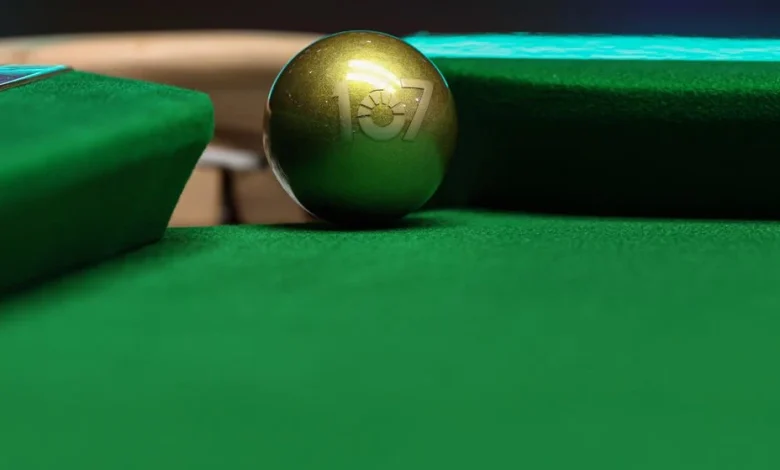 Riyadh Season Snooker Championship: Meet The Wild Cards