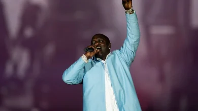 RnB star Akon arrested in US after missing court date