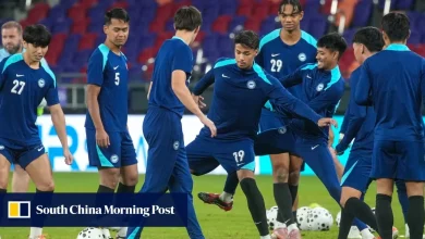 Roar trip: Singapore football fans land in Hong Kong for historic Asian Cup tie