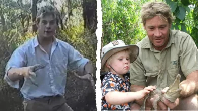 Robert approves of Chris Hemsworth’s Croc Hunter imitation