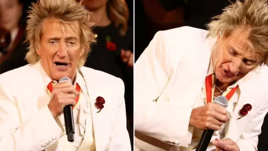 Rod Stewart fans defend singer as he faces fury for 'inappropriate' Remembrance Festival performance