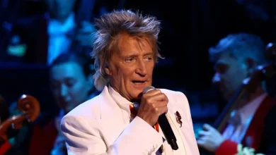 Rod Stewart slammed for ‘inappropriate’ performance during Festival of Remembrance