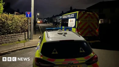 Rogiet: Nine-month-old baby killed in dog attack