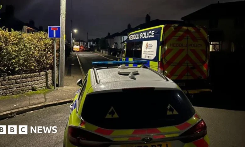 Rogiet: Nine-month-old baby killed in dog attack