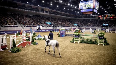 Royal Agricultural Winter Fair returns to Toronto this weekend