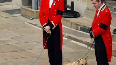 Rumors Swirl Suggesting King Charles Is "Preparing to…