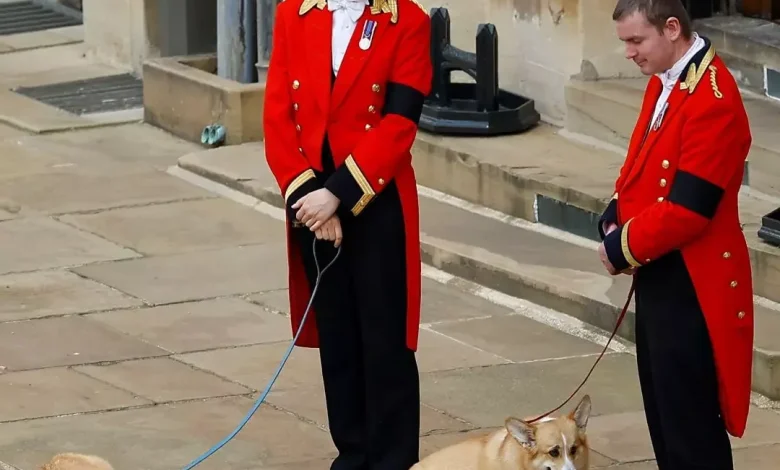 Rumors Swirl Suggesting King Charles Is "Preparing to…