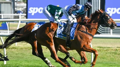 SA trainers & Adelaide Hills jockey favourites on wet Melbourne Cup track