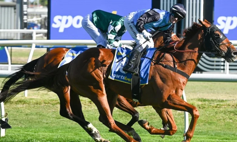 SA trainers & Adelaide Hills jockey favourites on wet Melbourne Cup track