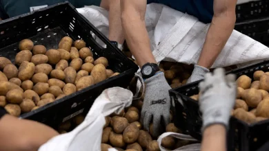 SNAP recipients feel 'betrayed' and 'judged' amid government shutdown cuts